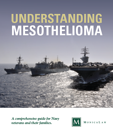 Understanding Mesothelioma resource book